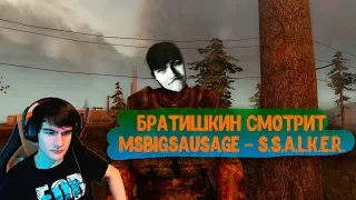 Братишкин смотрит MsBigSausage - S.S.A.L.K.E.R.