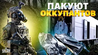 ВСУ пачками пакуют оккупантов! Крым трясет от ВЗРЫВОВ. Удивительная атака по РФ: впервые так били