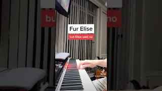 Fur Elise but Elise said no