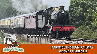 Orange Timetable - Two Steam Services - 28th May 2024