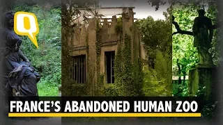 This Abandoned Complex In Paris Was A Human Zoo in 1907 | The Quint