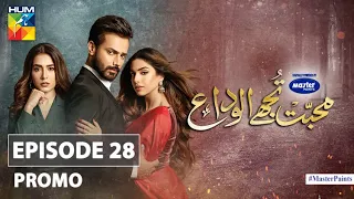 Mohabbat Tujhe Alvida | Episode 28 | Promo | Digitally Powered By Master Paints | HUM TV | Drama