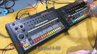 Roland TR-808 vs Behringer RD-8