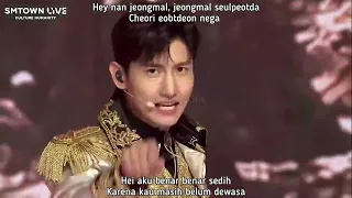 TVXQ - WHY (KEEP YOUR HEAD DOWN) INDO SUB (LIVE VERS)