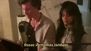 Shawn Mendes,Camila Cabello-What a wonderful world(LEGENDADO EM PORTUGUÊS) tradução