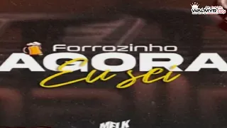 DJ MELK FORROZINHO AGORA EU SEI