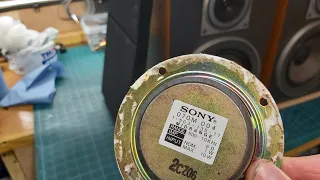 Sony SS E-55 Speakers