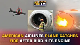 AMERICAN AIRLINES PLANE CATCHES FIRE AFTER BIRD HITS ENGINE