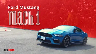Ford Mustang Mach 1 - Performance Test - Lo hace de nuevo