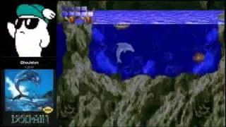 Ecco The Dolphin