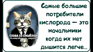 СУРА, ИЛЬМИНО, НИКОЛЬСК!  А НЕ МНОГО ЛИ У ВАС НАЧАЛЬСТВУЮЩИХ, НА ВЫМЕРАЮЩИЕ Н. ПУНКТЫ?