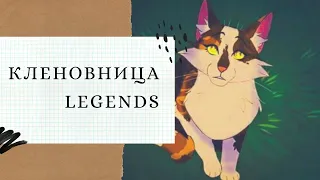 Коты Воители Кленовница чит описание плиз