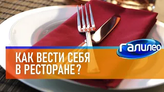 Галилео 🍷 Как вести себя в ресторане?