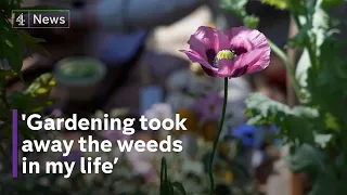 Chelsea Flower Show: A Sanctuary for survivors