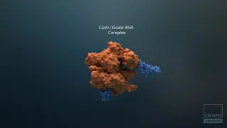 CRISPR Therapeutics - Translating CRISPR into Transformative Therapies (Nov 2018)