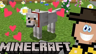 CONHEÇAM O BANZÉ !!! (Minecraft Zero Mortes • E13)