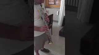 Dolnet Bel Air soprano saxophone