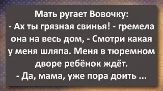 Время Колотить Камни! Сборник Самых Свежих Анекдотов! Юмор