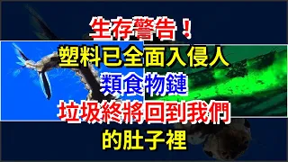 生存警告！塑料已全面入侵人類食物鏈，垃圾終將回到我們的肚子裡，[科學探索]