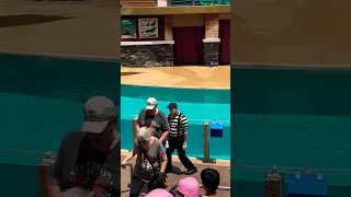 Rob's funny mimicry | Rob's the Seaworld mime #memesdaily #disney #robthemime #funny #hilarious #Lol