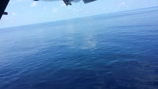 Seaplane = landing at Reethi beach 4K