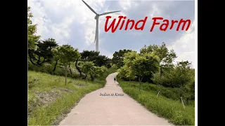 Discover the Hidden Windmill of Gyeongju: South Korea's Scenic Gem 광주의 숨겨진 보물: 한국의 아름다운 풍차 여행지