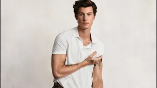 Shawn Mendes x Tommy Hilfiger