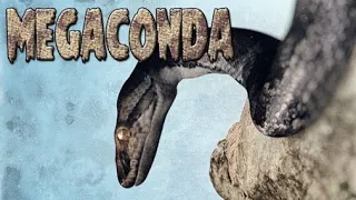 Megaconda (2010) Carnage Count