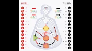 Разбор Генератора 6/2. Дизайн Человека.