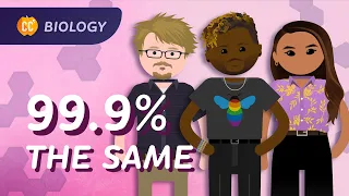 Why do we have different skin colors? (Population Genetics): Crash Course Biology #14