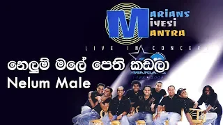 නෙලුම් මලේ  - Nelum Male | Marians Miyesi Mantra Concert (20th Anniversary)