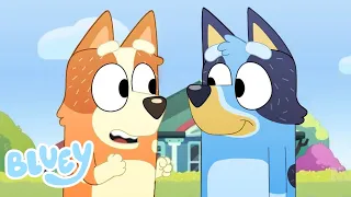 Bluey y Bingo Mayores | ¡Sorpresa! 🎾 Temporada 3