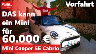 Mini Cooper SE Cabrio: DAS kann ein Mini für 60.000 Euro! – Fahrbericht | auto motor und sport