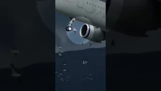 Airplane Bird Strike Caught On Camera!