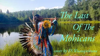 The Last Of The Mohicans | Native American Flutes Music | by FS Wuauquikuna |