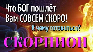 СКОРПИОН 💎😇💎 Что БОГ пошлёт Вам СОВСЕМ СКОРО К Чему готовиться ТАРО РАСКЛАД