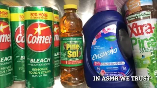 ASMR 🌲 Pine-Sol, Xtra Pine Natural, Ensueño Detergent, and 4 cans of Comet with Bleach