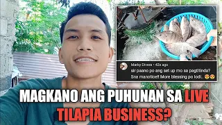 MAGKANO ANG PUHUNAN SA LIVE TILAPIA BUSINESS? Negosyo Pinoy, Negosyo Philippines Tilapia | PinedaTv