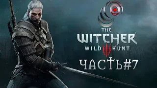 The Witcher 3: Wild Hunt ламповый стрим на сложности "НА СМЕРТЬ" #7 (18+)