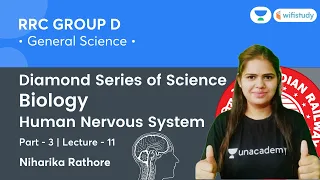 Human Nervous System | Lecture-11 | Biology | Science | RRB Group D | wifistudy | Niharika Ma'am