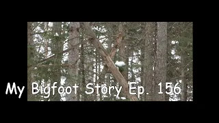 My Bigfoot Story Ep. 156 Trappers Trails II