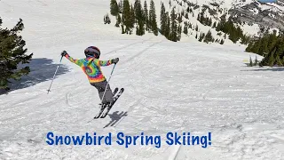 Some more Snowbird spring skiing