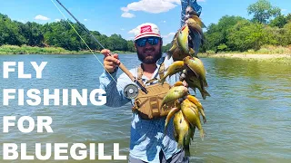 Fly Fishing For Bluegill In Texas {Catch Clean Cook} We Smoked Them