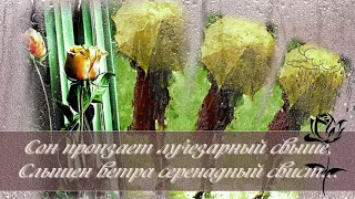 Андрей Обидин.  Розы и дождь .