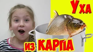 УХА из КАРПА // Рецепт Вкусной Ухи