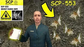 Never Go To SCP-553