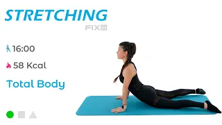 Stretching Total Body: Esercizi Per Migliorare Flessibilità ed Elasticità