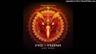 Zyce vs Flegma - Sun Bird (Original Mix)