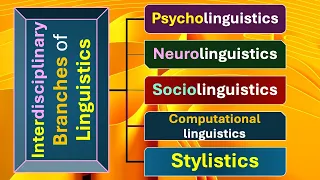 Interdisciplinary Branches of Linguistics: Psycho- Neuro- Socio- and Computational linguistics