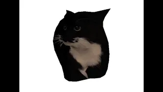 low poly cat set to low quality funkytown